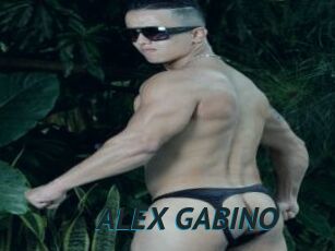 ALEX_GABINO