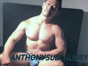 ANTHONYSUBCHUBBY