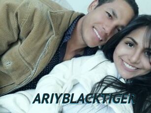 ARIYBLACKTIGER