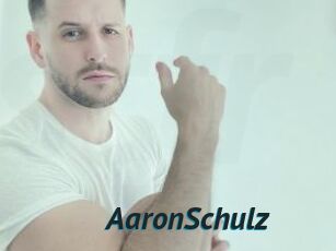 AaronSchulz