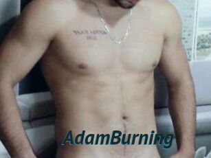 AdamBurning