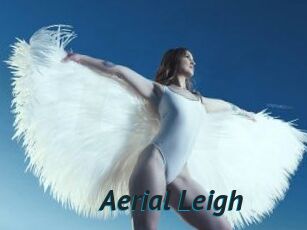 Aerial_Leigh