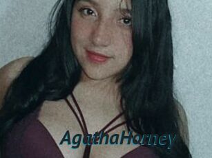 AgathaHorney