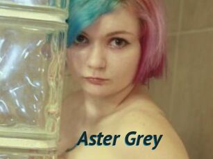 Aster_Grey