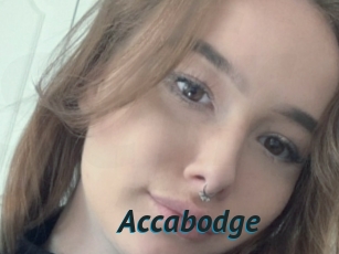 Accabodge