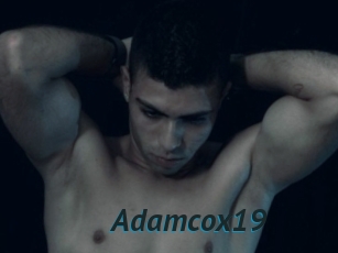 Adamcox19