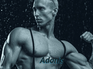 Adonis