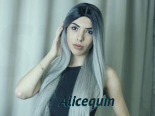 Alicequin