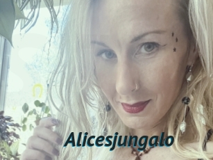 Alicesjungalo