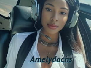 Amelydachs