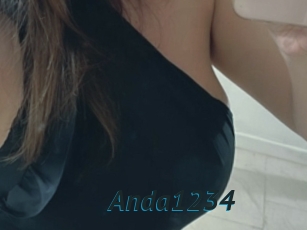 Anda1234