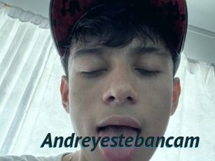 Andreyestebancam