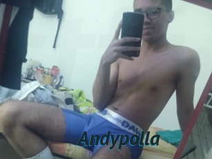 Andypolla