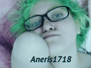 Aneris1718