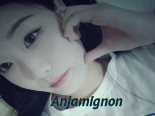 Anjamignon