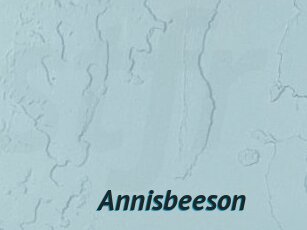 Annisbeeson