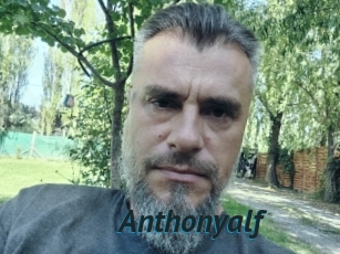 Anthonyalf