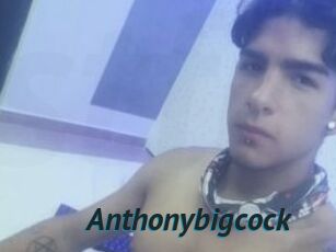 Anthonybigcock