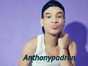 Anthonypadron