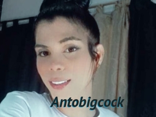 Antobigcock