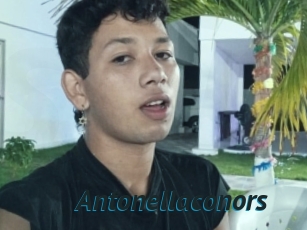 Antonellaconors