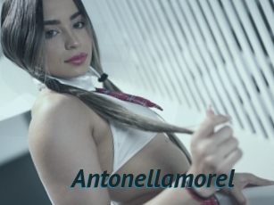 Antonellamorel