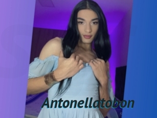 Antonellatobon