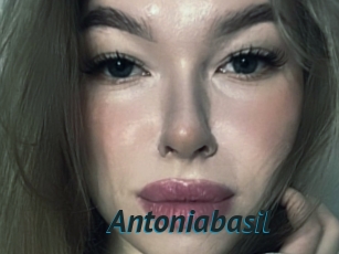 Antoniabasil