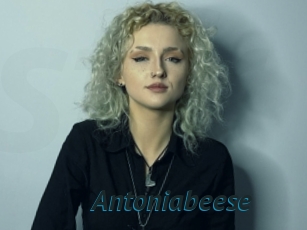 Antoniabeese