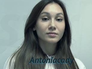 Antoniacady