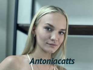 Antoniacatts