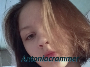 Antoniacrammer