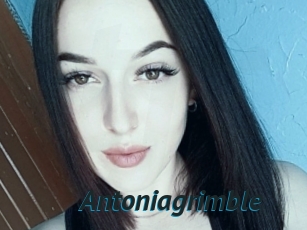 Antoniagrimble