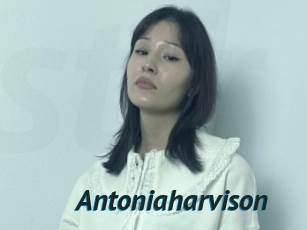 Antoniaharvison