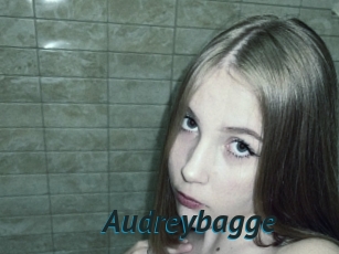 Audreybagge