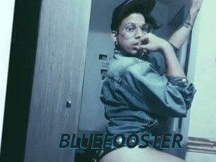 BLUEFOOSTER