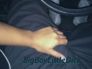 BigBoyLittleDick