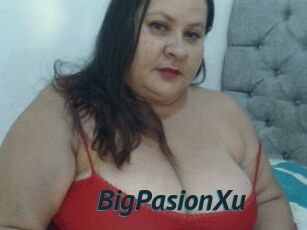 BigPasionXu