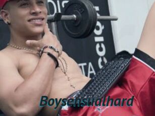 Boysensualhard