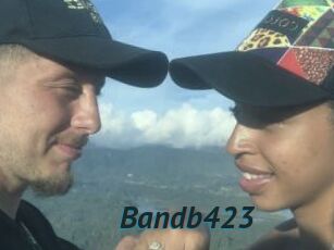 Bandb423