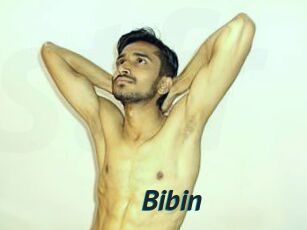 Bibin