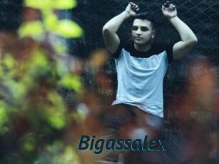 Bigassalex