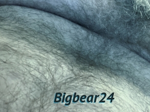 Bigbear24