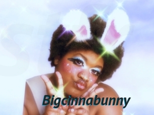 Bigcinnabunny