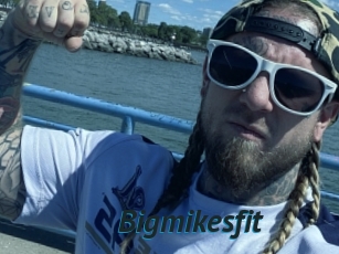 Bigmikesfit