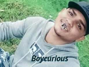 Boycurious