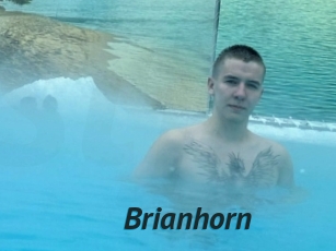 Brianhorn