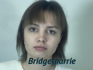 Bridgetharrie