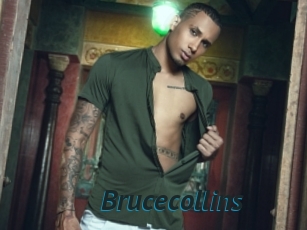 Brucecollins