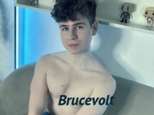 Brucevolt